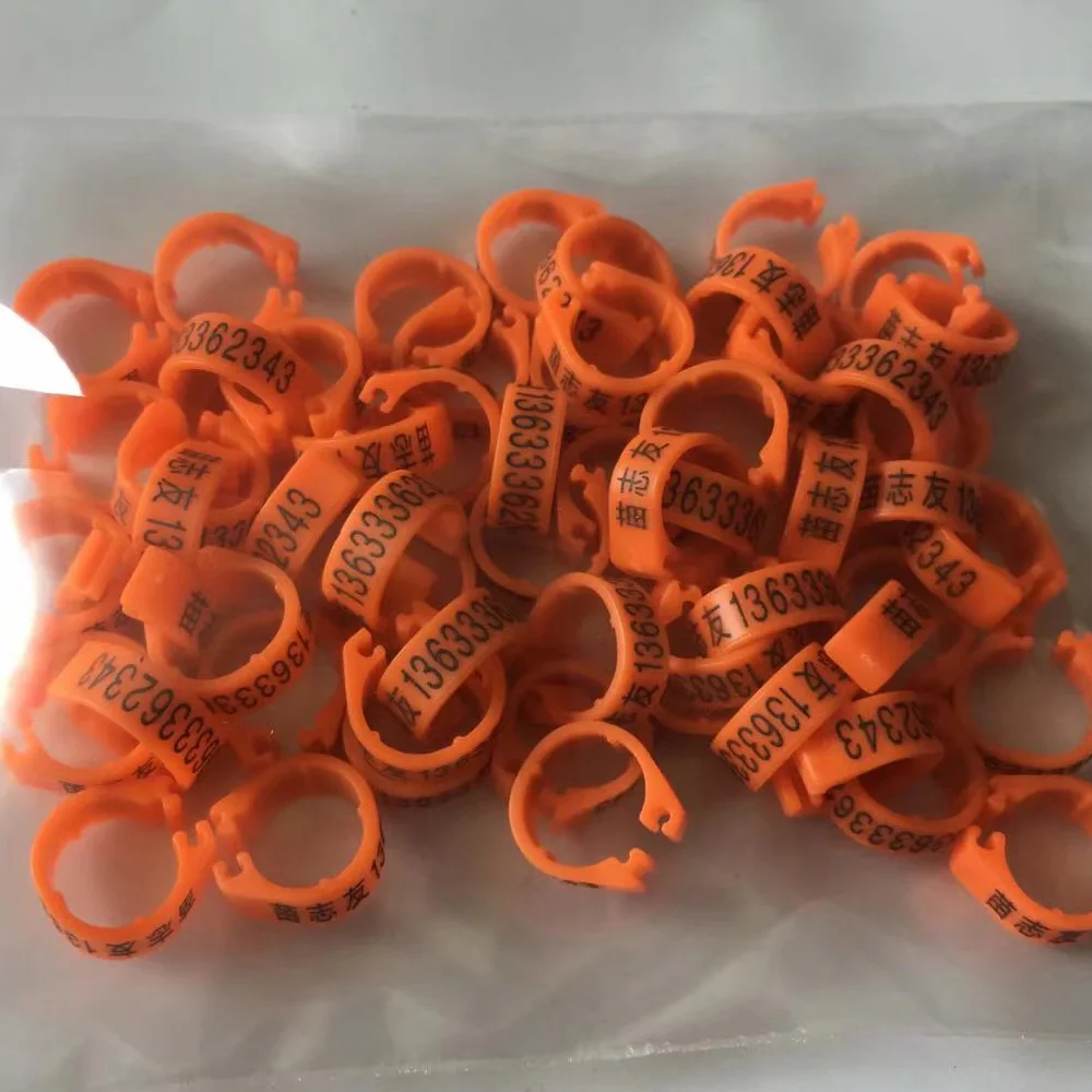 Colorful UHMWPE Plastic Seal Rings / Various Size Seal O Ring / Custom  Shape Sealing Rings - China Seal Rings, Plastic Seal Rings |  Made-in-China.com