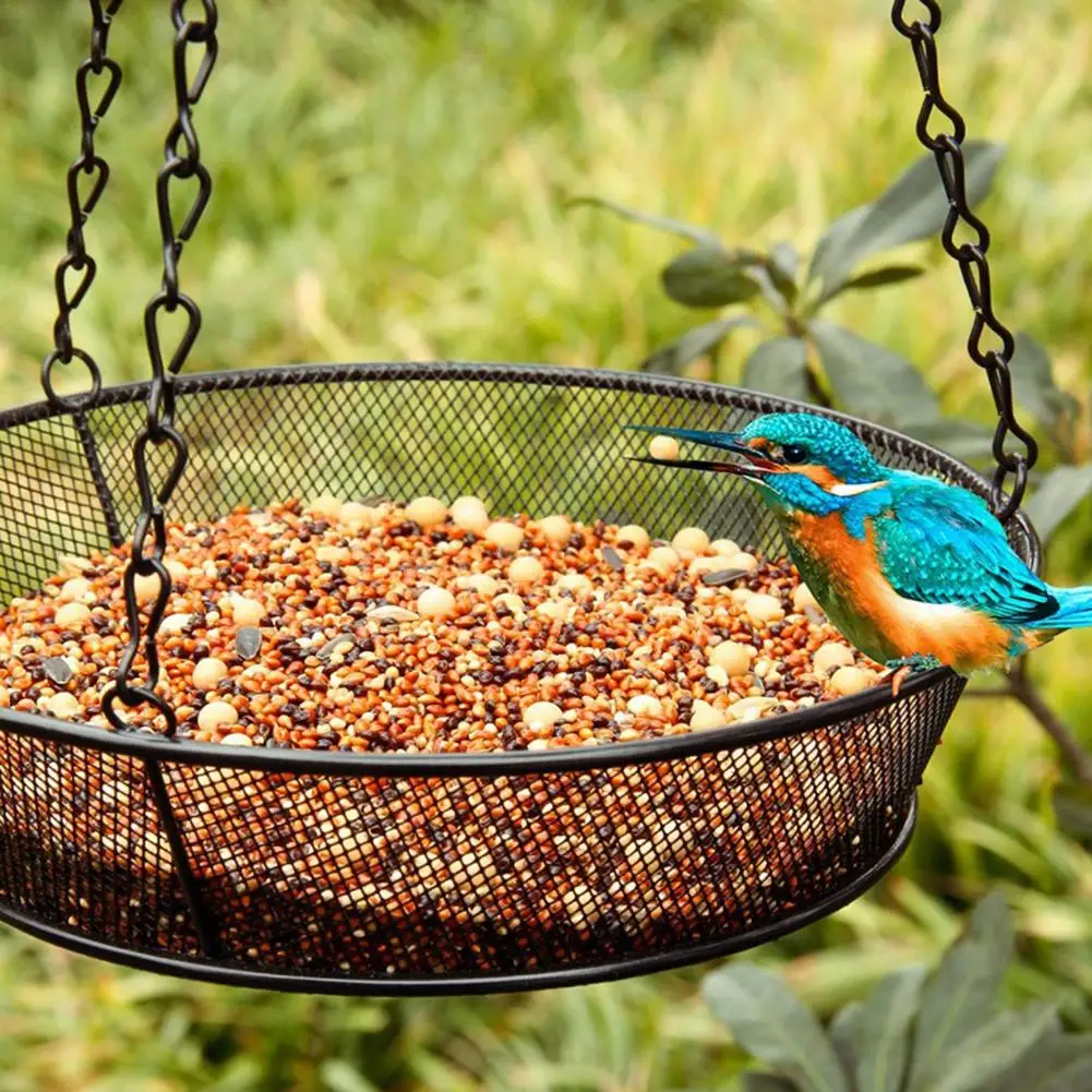 Hanging Wild Bird Seed Feeder Bird Feeding Tool Garden Paddock Outdoor Decoration Pet Supplies Tableware Feeder Supplies
