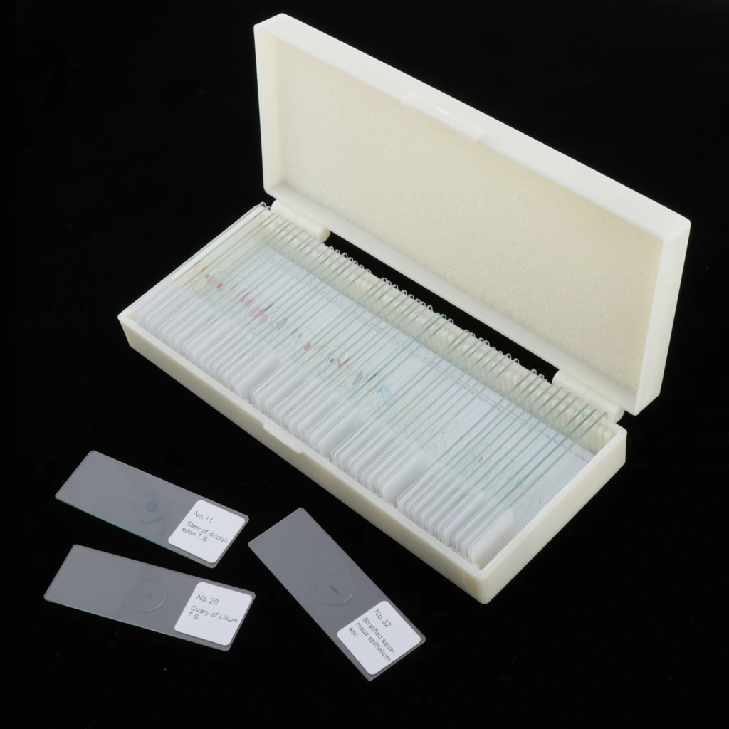 Prepared Slide Set - 50-piece Blank Slides for Microscope with Storage Case