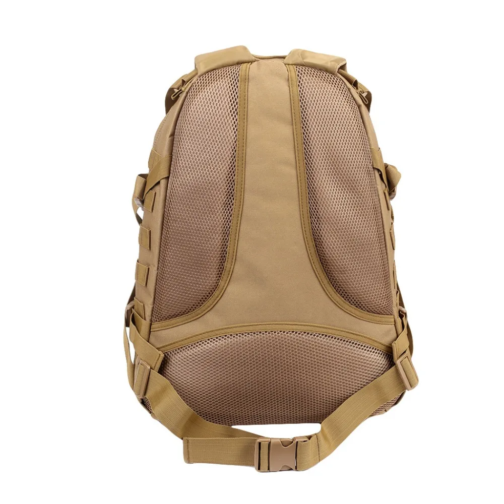 BRF90606007_0413512933215601698