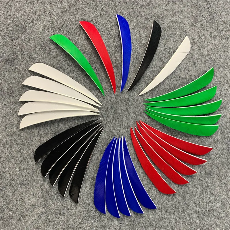 303557_no-logo_303557-3-09-g