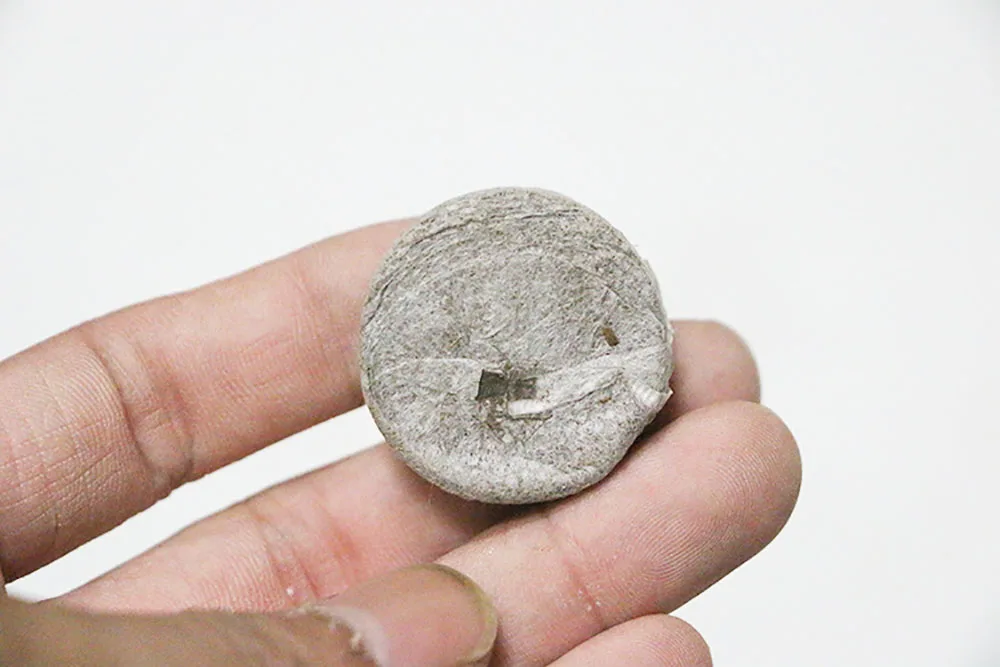 cffd9873d0d2a8ed65863cfefdd6bb6d