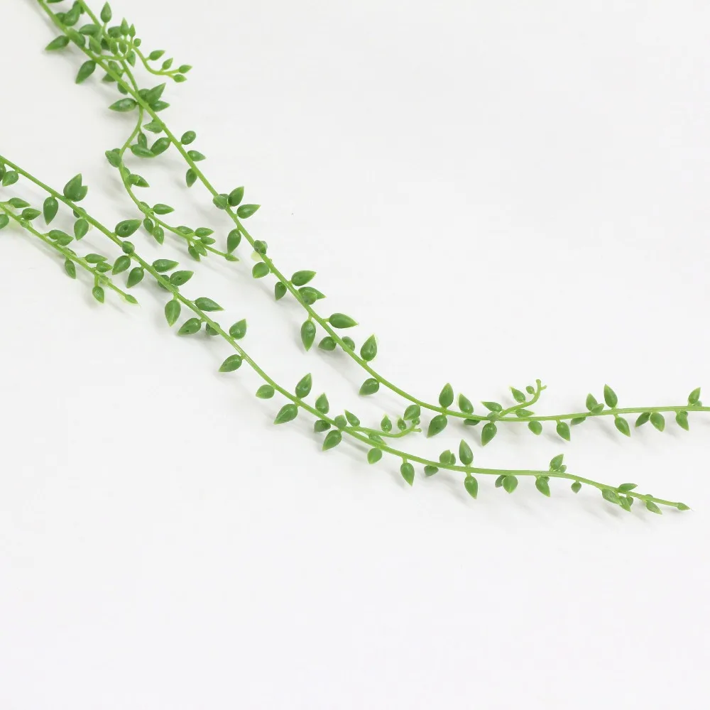 15531541414_605562225