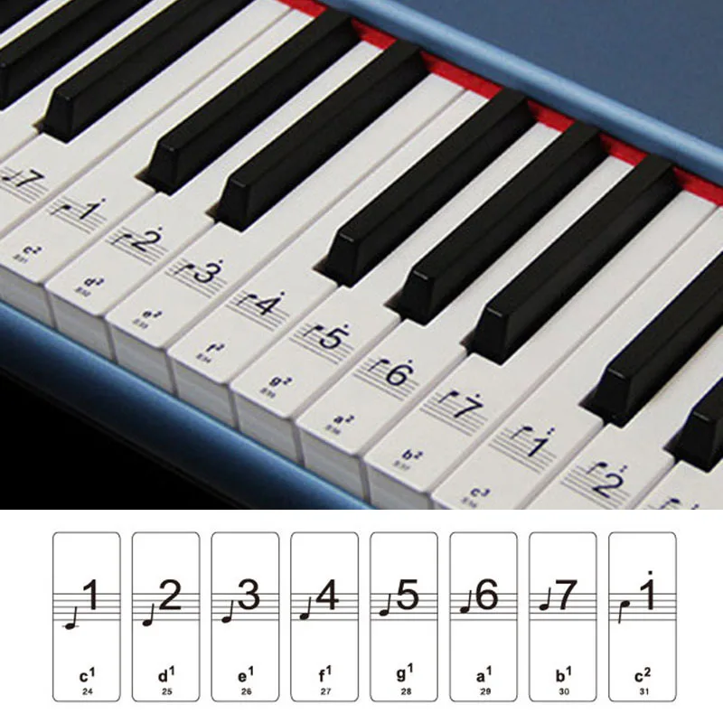 

61pcs/Set Piano Laminated Sticker Music Keyboard Piano Educational Clear Laminated Stickers for 88 Keys Piano for children adult