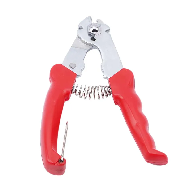 it.aliexpress.com