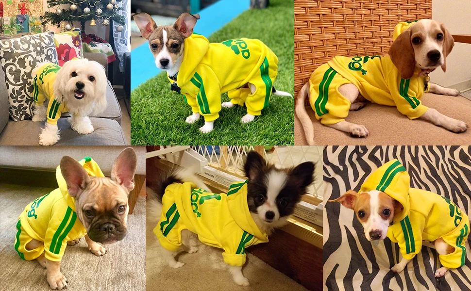 Sudadera Adidog con capucha para Chihuahua
