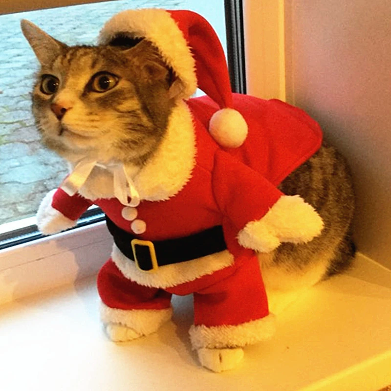Navidad para gatos, ropa divertida de Papá para perros pequeños, ropa para mascotas de Año Nuevo y Navidad, trajes de invierno para gatitos|Ropa gatos| - AliExpress