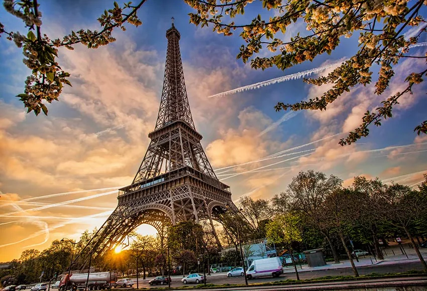 SZZWY Wonderful Eiffel Tower Backdrops 10x10ft Vinyl Photography Background Paris Landmark Architecture Grass Lawn Trees with Sunset Birthday Wedding Party Decoration Photo Studio Props SZZWY Wonderful Eiffel Tower Backdrops 10x10ft Vinyl Photography Background Paris Landmark Architecture Grass Lawn Trees with Sunset Birthday Wedding Party Decoration Photo Studio Props