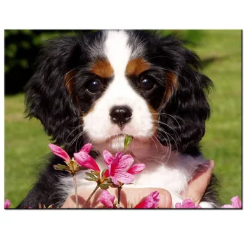 

home decoration diamond painting Cavalier king charles spaniel dog flower full drill square round diamond embroidery art YG1640