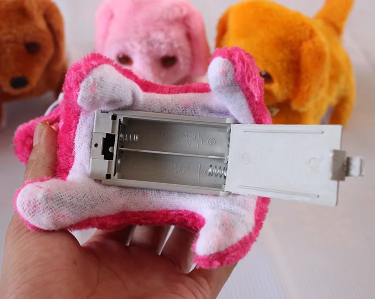 2858422720_748380050