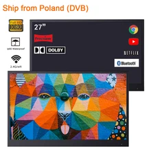 

Souria 27 inches Smart Black Waterproof LED Television for Bathroom TV Android 9.0 Hotel IP66 Poland Europe Warehouse