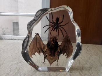 

Artificial amber ornaments high-grade transparent resin insect specimens bats and scorpions creative home decoration