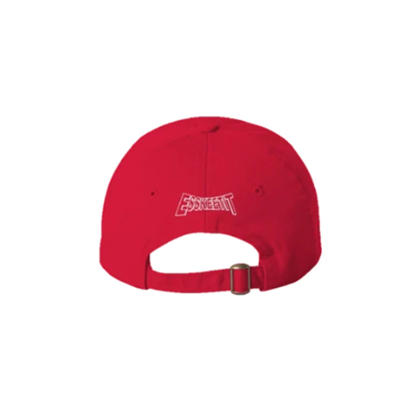 Бренд лиловый насос Esskeetit бейсболка с вышивкой хлопок бейсбольная кепка для мужчин и женщин хип хоп папа шляпа дропшиппинг