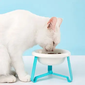 

Dog Cat Bowl,Ceramic Pet Bowl with Non-Slip Plastic Stand,Water Bowl Dish