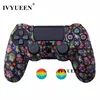 Colorful Skull B