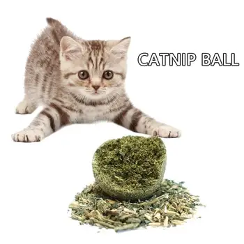 

Pet Cat Catnip Balls Edible Green Cats Chewwing Toy Teeth Pet Snack Wholesale Supplies Toys Molar Katten Cleaning Hot Grass J8F0