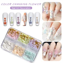 

2022 Color-changed Flower Decors 5petals Japanese Resin Macaroon Florets 200/800pcs Uv Flower Mix Nail 3d Accessory Kit