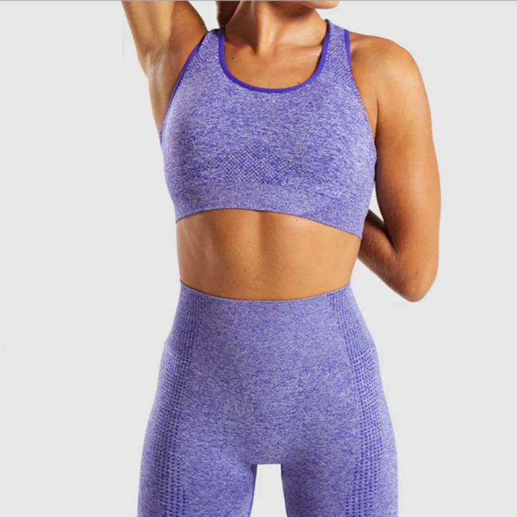 Женский бесшовный комплект для йоги, одежда для спортзала, леггинсы для фитнеса+ укороченные рубашки, спортивный костюм для женщин, спортивный костюм с длинным рукавом, одежда для активного отдыха - Цвет: purple sleeveless
