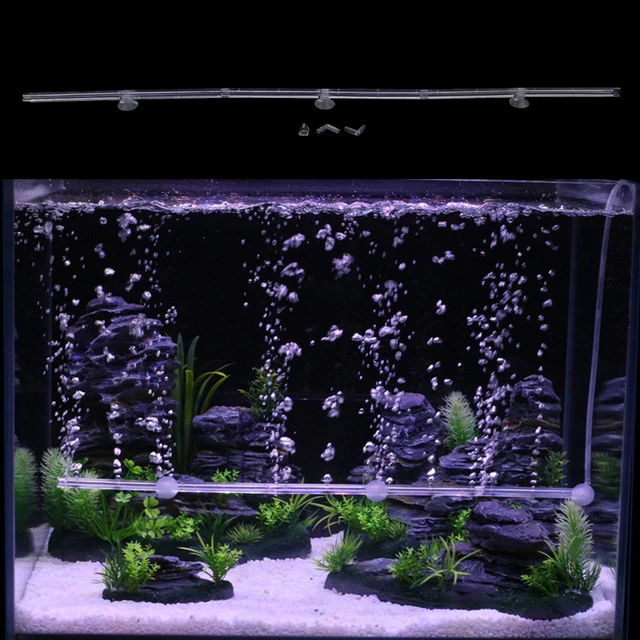 Aquarium Aeration and Oxygenation, oxygene aquarium