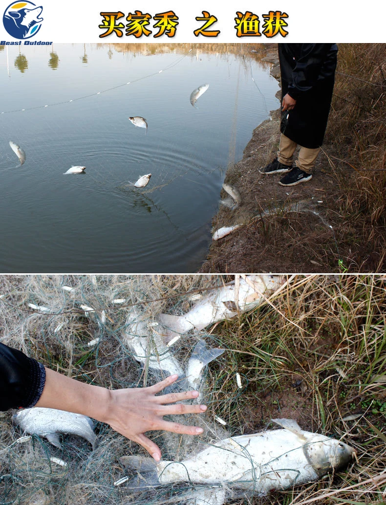 4075292446_1945748582