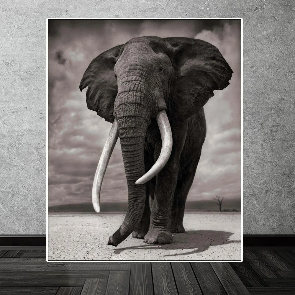 Elephant Picture Color Frame Elephant Oil Painting Frame Retro