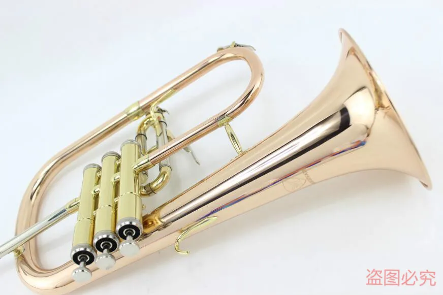 

Bb Flugelhorn, золотой фосфор и медь с фотографией, мундштук, трубы Flugelhorn, музыкальные инструменты