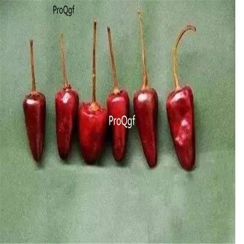 

Ngryise 5000Pcs A Set Capsicum frutescens pepper