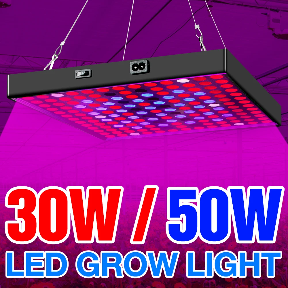 

Plant Lamp 30W 50W Grow Light Full Spectrum 220V LED Hydroponics Kit Flower Seed Growing LED Light 110V Phytolamp EU US UK Plug