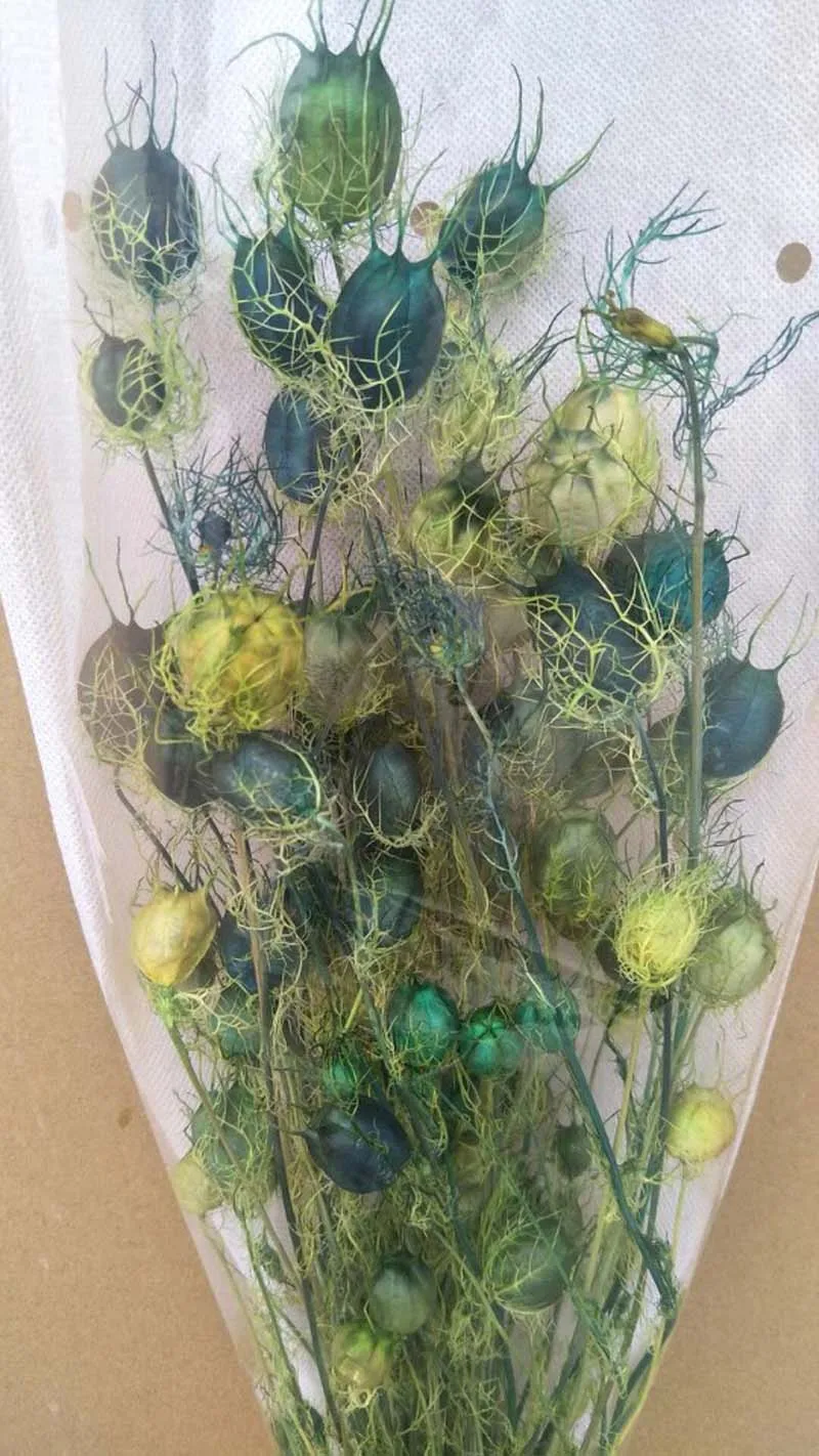 Бессмертные сухие цветы, черная трава, Цветочная композиция с сухими цветами, ваза сухие цветы, стеклянные шары цветы, diy цветочный шар