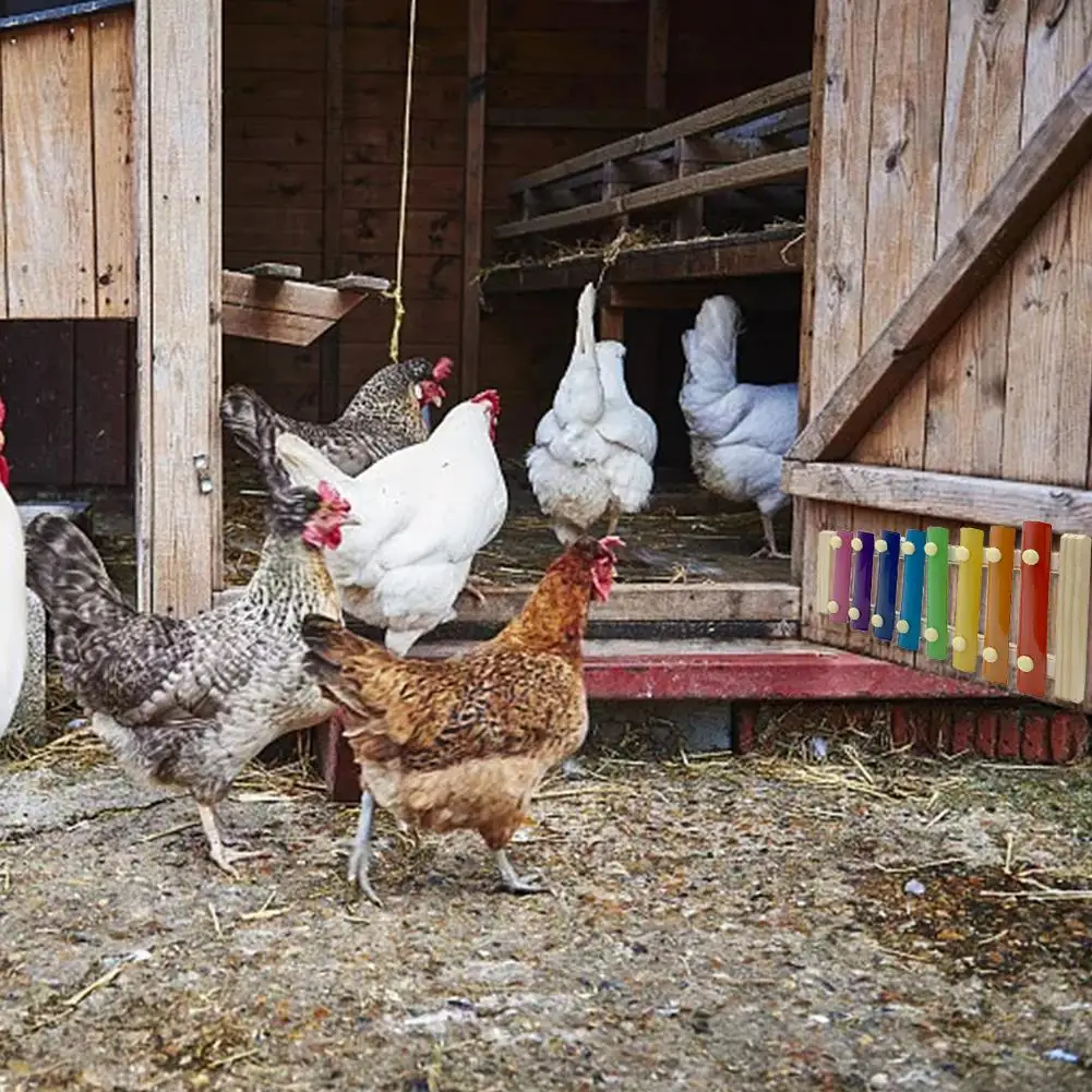 Jouet Xylophone à poulet Multiple, 8 clés, amusant, picotements de