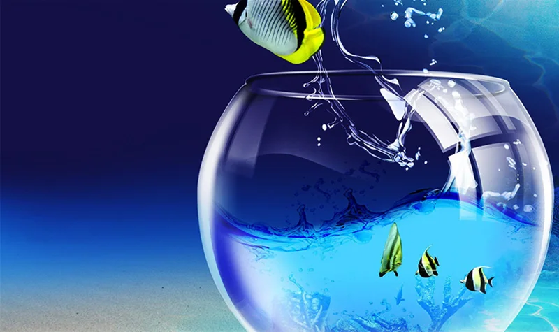 TB268f_cxdkpuFjy0FbXXaNnpXa_!!2303327661