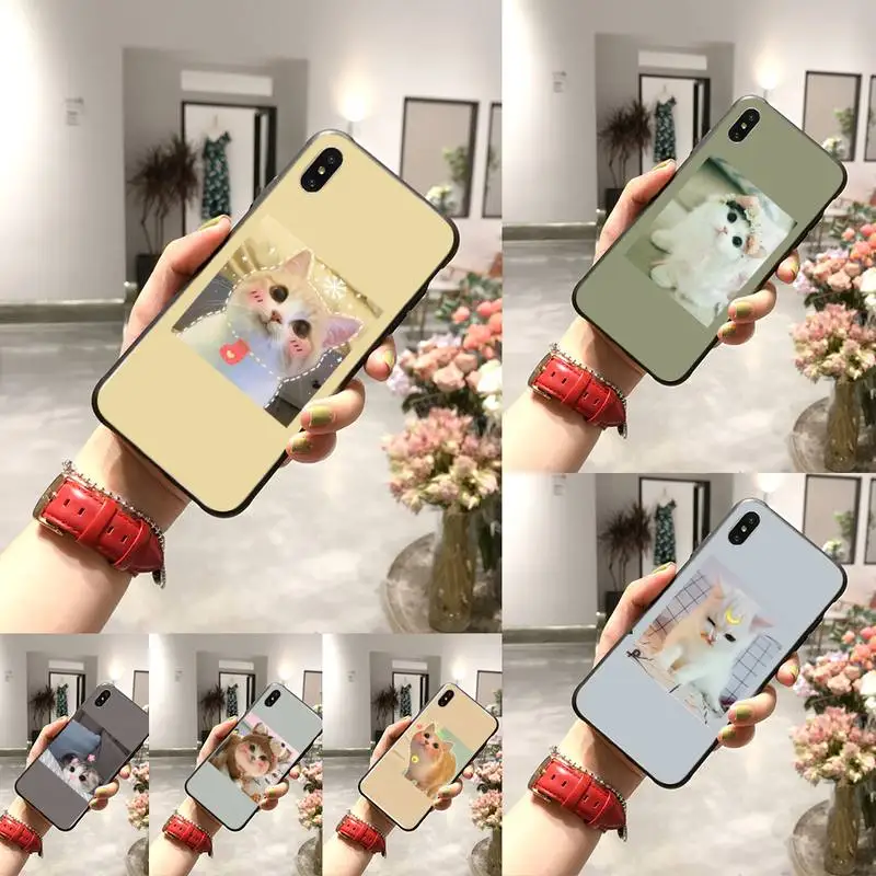 Милый Забавный чехол для телефона с рисунком котенка DIY iPhone 11 pro XS MAX 8 7 6 6S Plus X 5 XR |