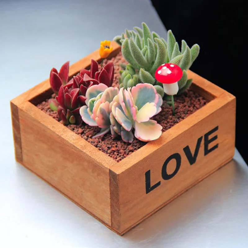 Маленькие растения цветы полка садовый подоконник ретро цвет КОРИЧНЕВЫЙ небесно