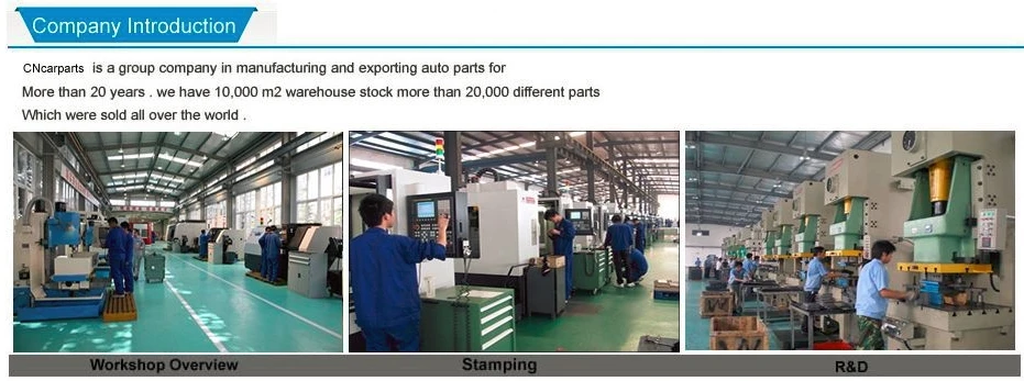 company introduce
