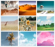 

Mocsicka Nature Scenery Photography Backdrops Children Portrait Photo Background Studio Professional Photography Props Decoratio