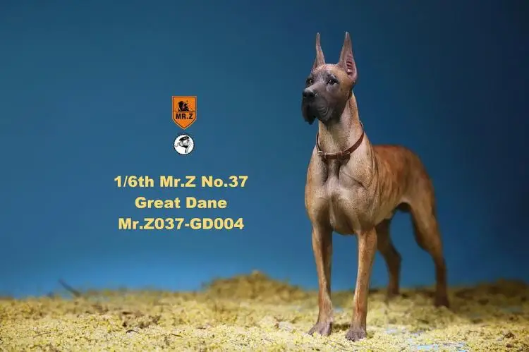 1/6 масштаб Pet Dog модель Mr. Z MRZ037 немецкий Great Dane(все 6 цветов) для 12 дюймов Экшн фигурки аксессуары коллекции