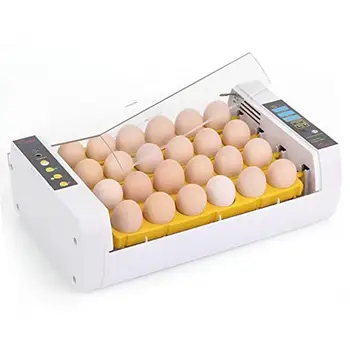 

24 Eggs Incubator Fully Automatic Egg Incubator Chicken and Duck Egg Breeding Household Incubation Equipment