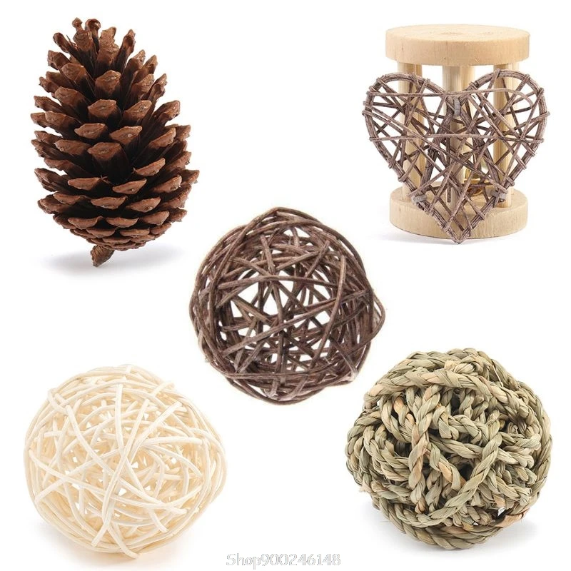 Small Animal Activity Toy,pets Play Chew Toys For Bunny Rabbits Guinea