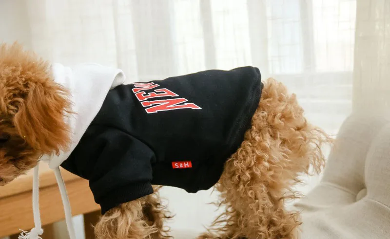 9479776868_235617381