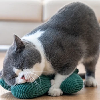 

Cactus Pillow Funny Cat Toy Pillow Molar Self Catey Mint Cat Supplies