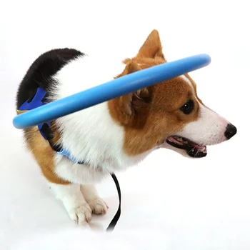 

Blind Pet Anti-collision Ring Animal Protection Circle Guide Dog Ring For Small Dogs with Sick Eyes Prevent Collide Wall ZL