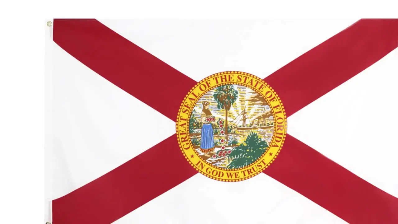 Wholesale 100% Polyester 3x5ft Stock Printed United State Of Florida Flag | Дом и сад
