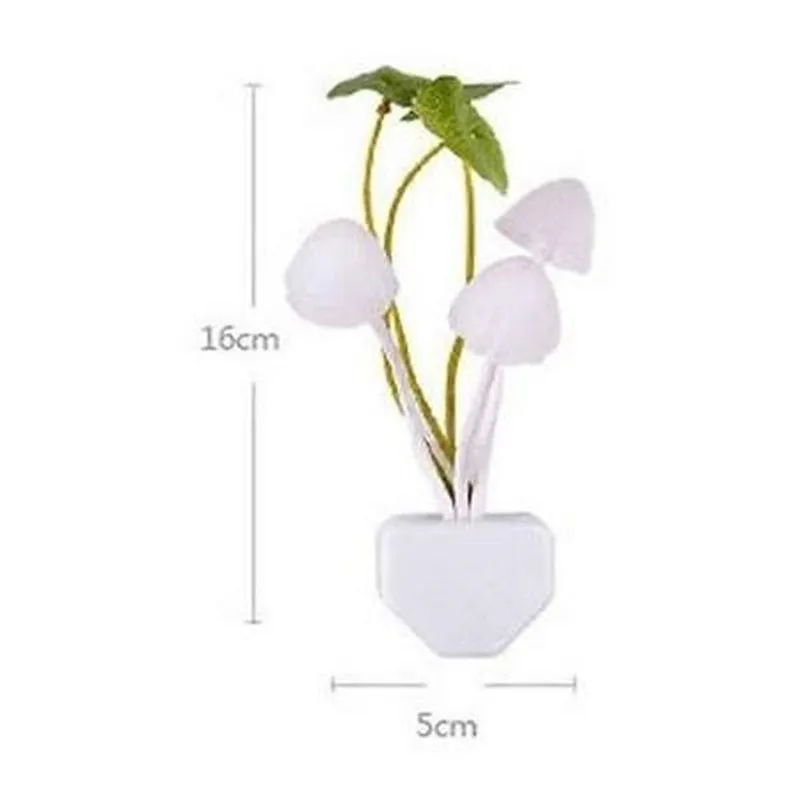 5409b7f56a4ebde477e7df06db888818a84dfbb3_original