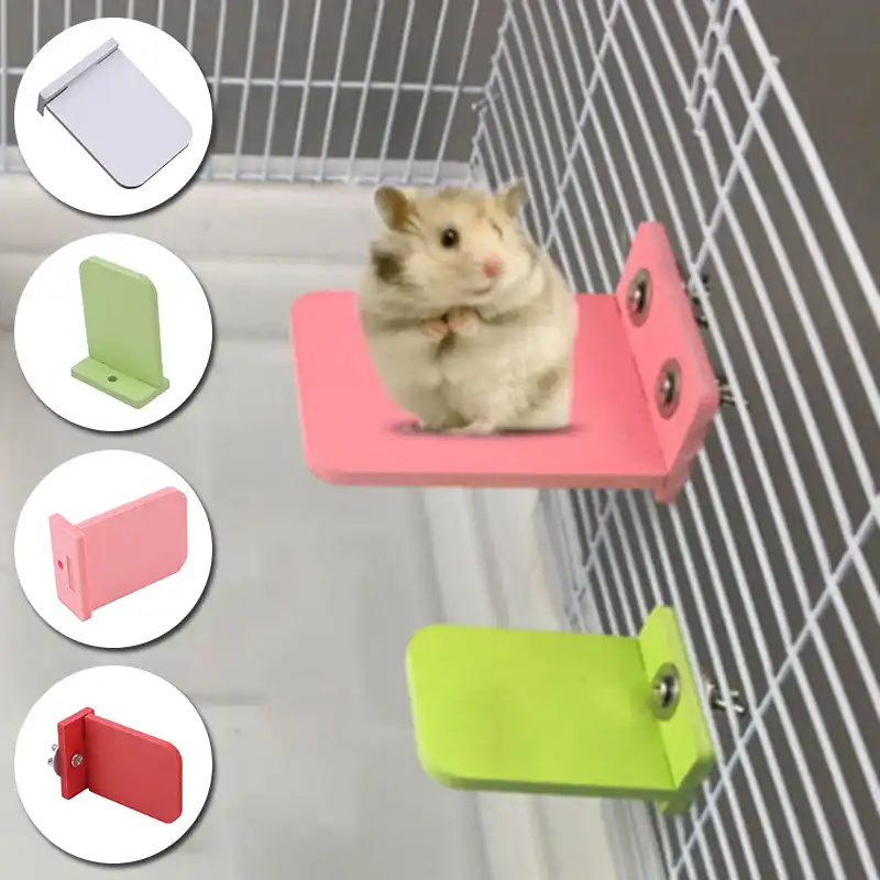 parrot hamster wheel