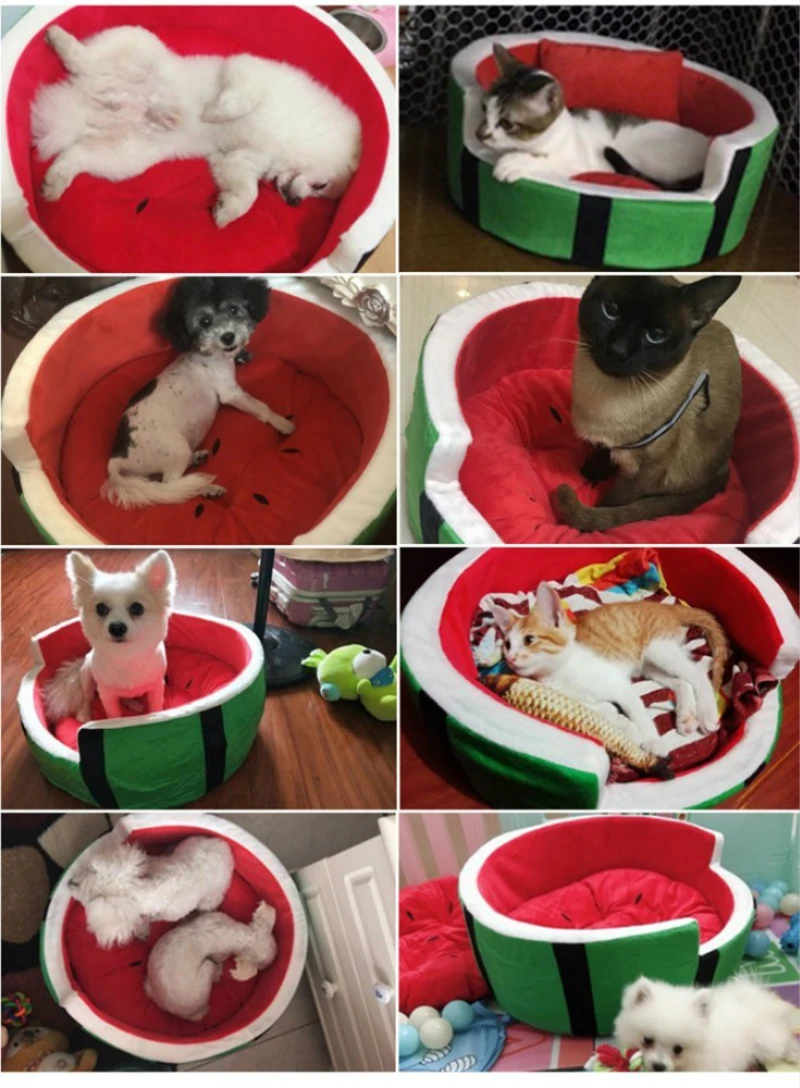 Benepaw моющаяся кровать для щенка в виде арбуза, качественная мягкая кровать для питомца, для собак, уютный домик для питомца, кошка, не легко деформируется