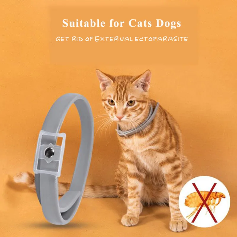 

Summer Anti-insect Cat Dog Collar Anti Flea Mosquitoes Ticks Waterproof Cat Flea Collar for Pet Puppy 8 Months Protection