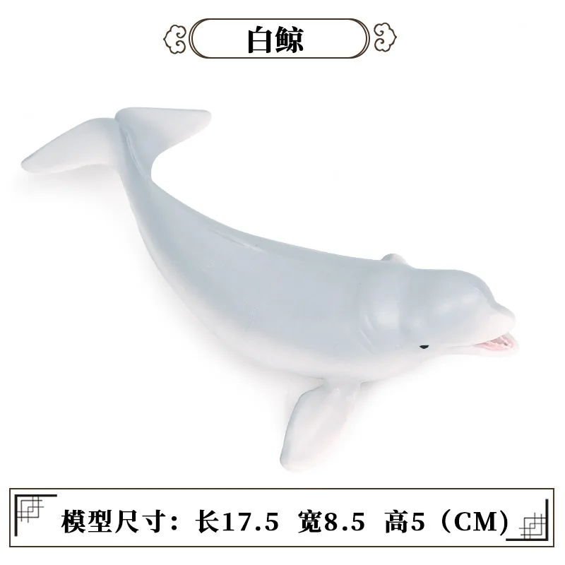 10821346325_1464955482