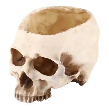 

Artificial Resin Skull Head Flower Pot Plant Bowl Container Garden Planter Multifunctional Tabletop Storage Tank Replica Skeleto