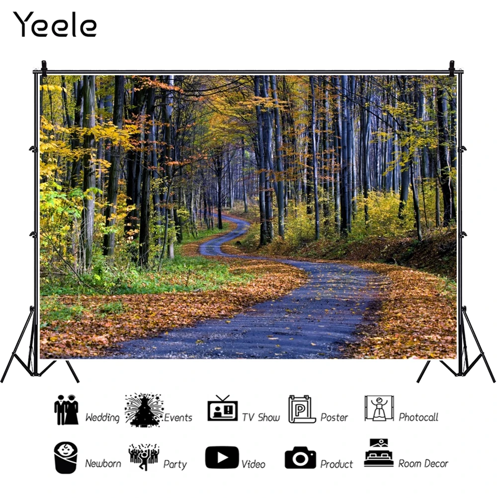 Yeele  ǳ    Photocall    ̺    Ʃ 