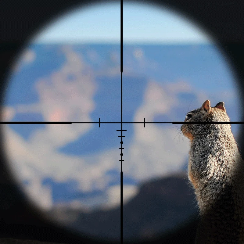 06.gif